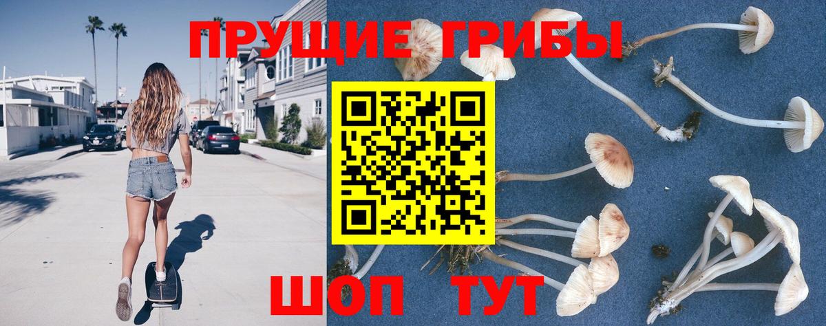 Псилоцибиновые грибы Cubensis  Галлюциногенные грибы мухоморы  Вход с VPN  Кореновск 