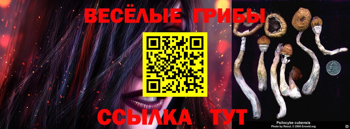 Галлюциногенные грибы Magic Shrooms Кореновск
